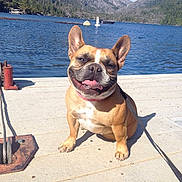 Emmy joined the competition — help win amazing prizes!