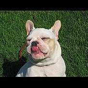 Mazi joined the competition — help win amazing prizes!