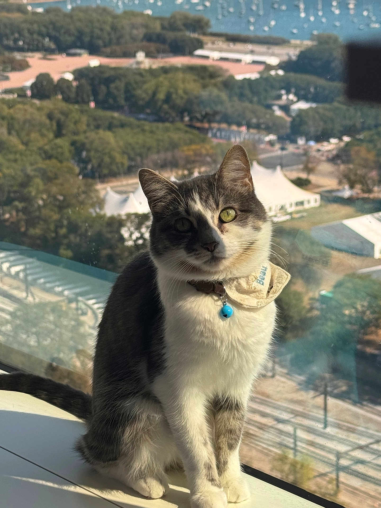 Beau