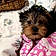 Tuppence