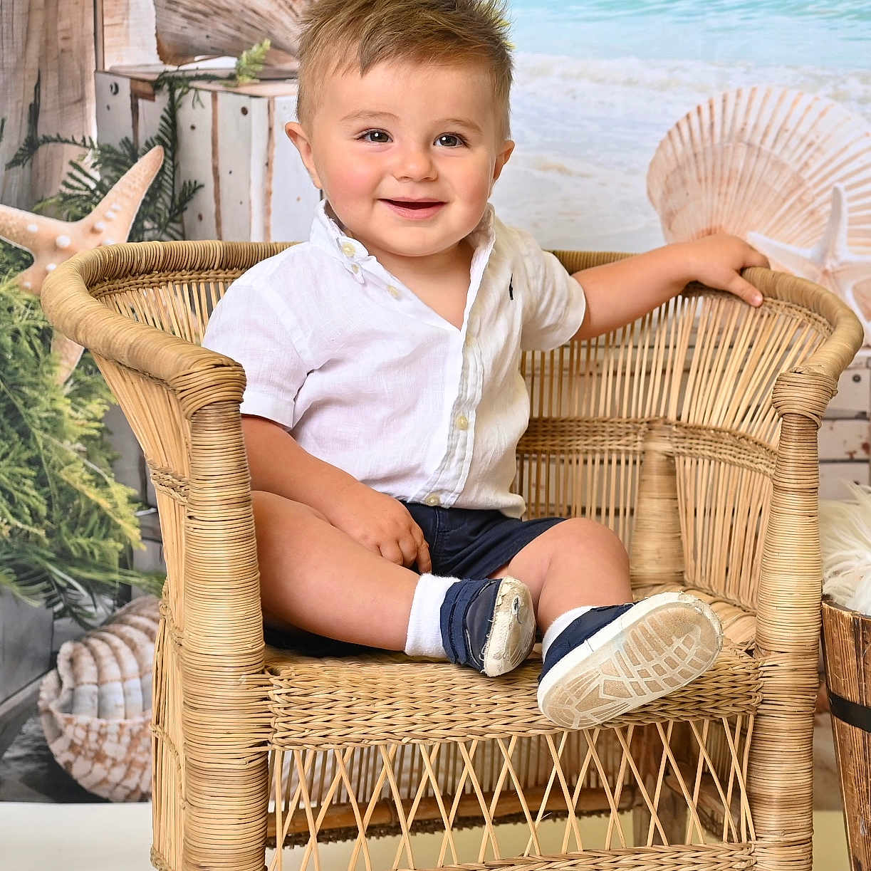 George joined the competition — help win amazing prizes! animal, armchair, boy, chair, child, clothing, face, furniture, head, invertebrate, male, pants, person, photography, portrait, sealife, seashell, shorts, sitting, wood