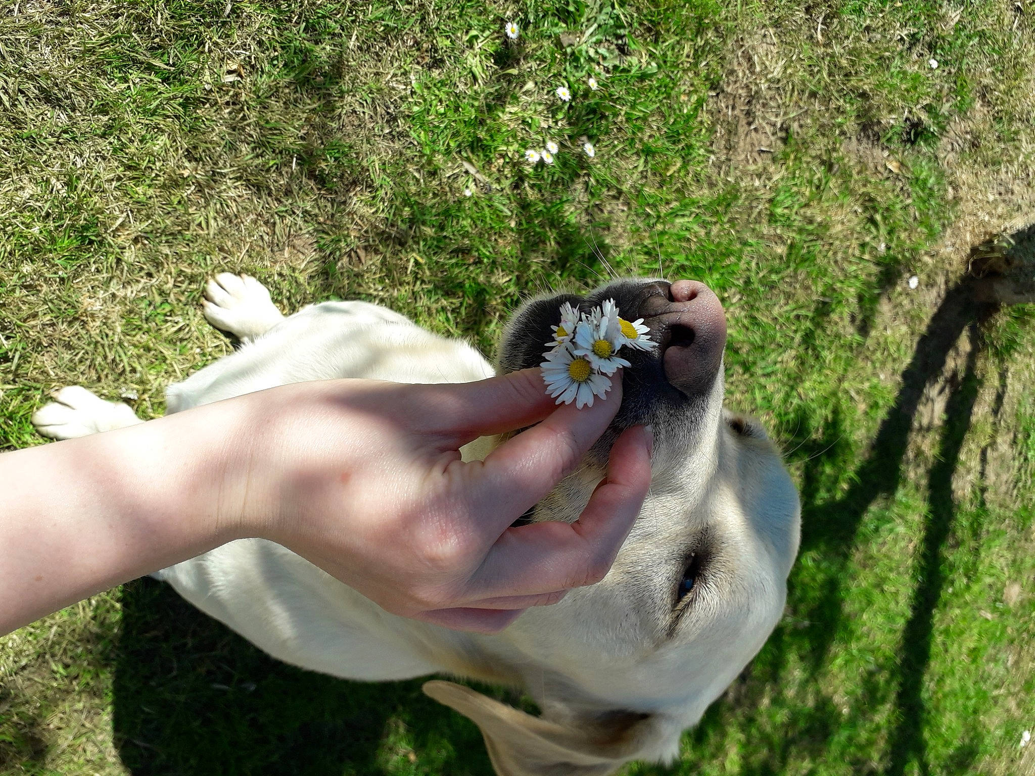 Myrtille a rejoint le concours — aidez-le/la à gagner de superbes lots ! grass, hand