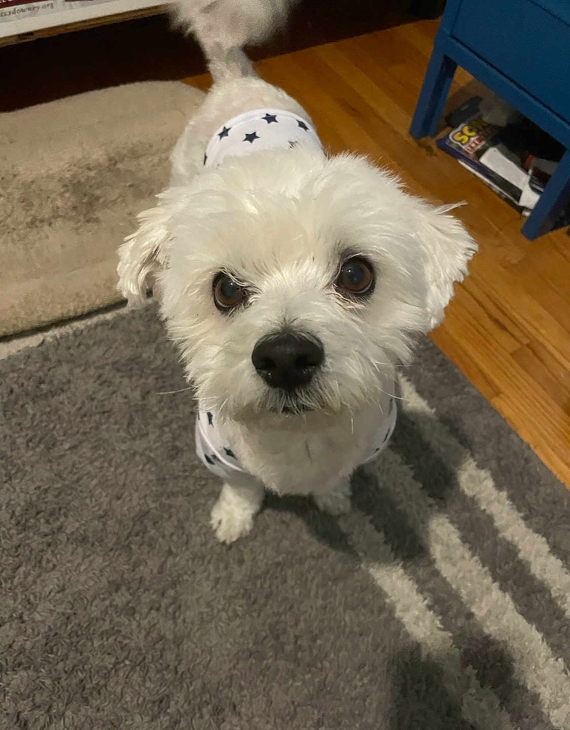 Coco
