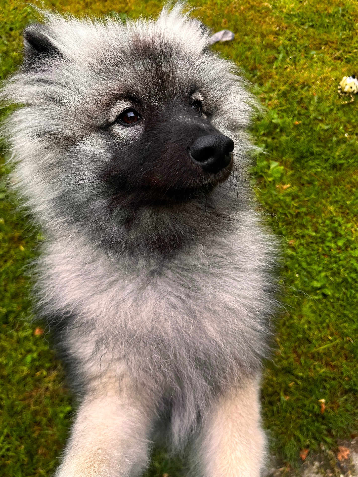 Valto