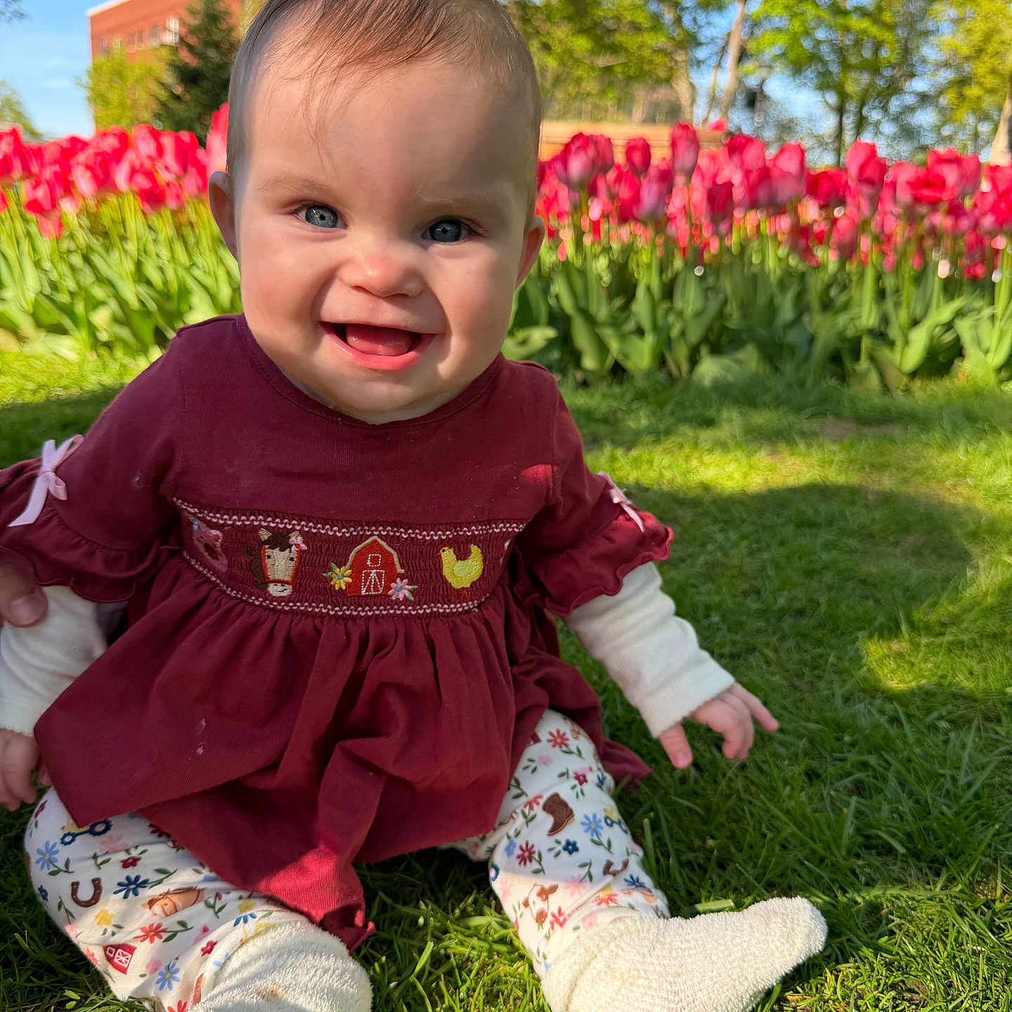 Della is registered to the contest to win money with this photo: baby, child, grass, tulips, flowers, outdoor, smiling, dress, leggings, socks, nature, sunlight, greenery, trees, blue_sky, garden, happy, cute, portrait, seasonal