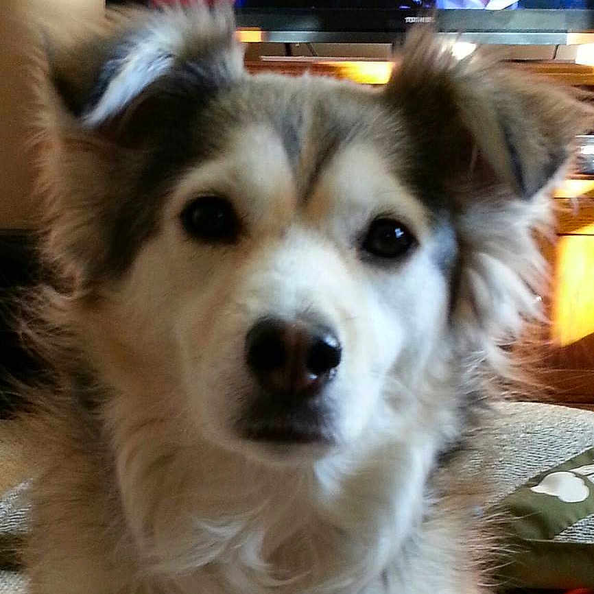 Jolie joined the competition — help win amazing prizes!