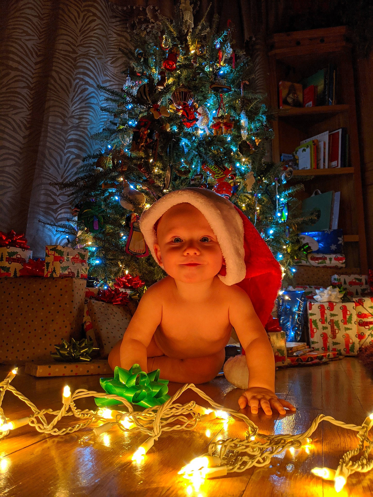 Graham is registered to the contest to win money with this photo: child, christmas, christmas_decoration, christmas_eve, christmas_lights, christmas_ornament, christmas_tree, event, fir, fun, holiday, interior_design, lighting, ornament, person, photography, pine_family, plant, toddler, tradition