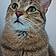 Oliver