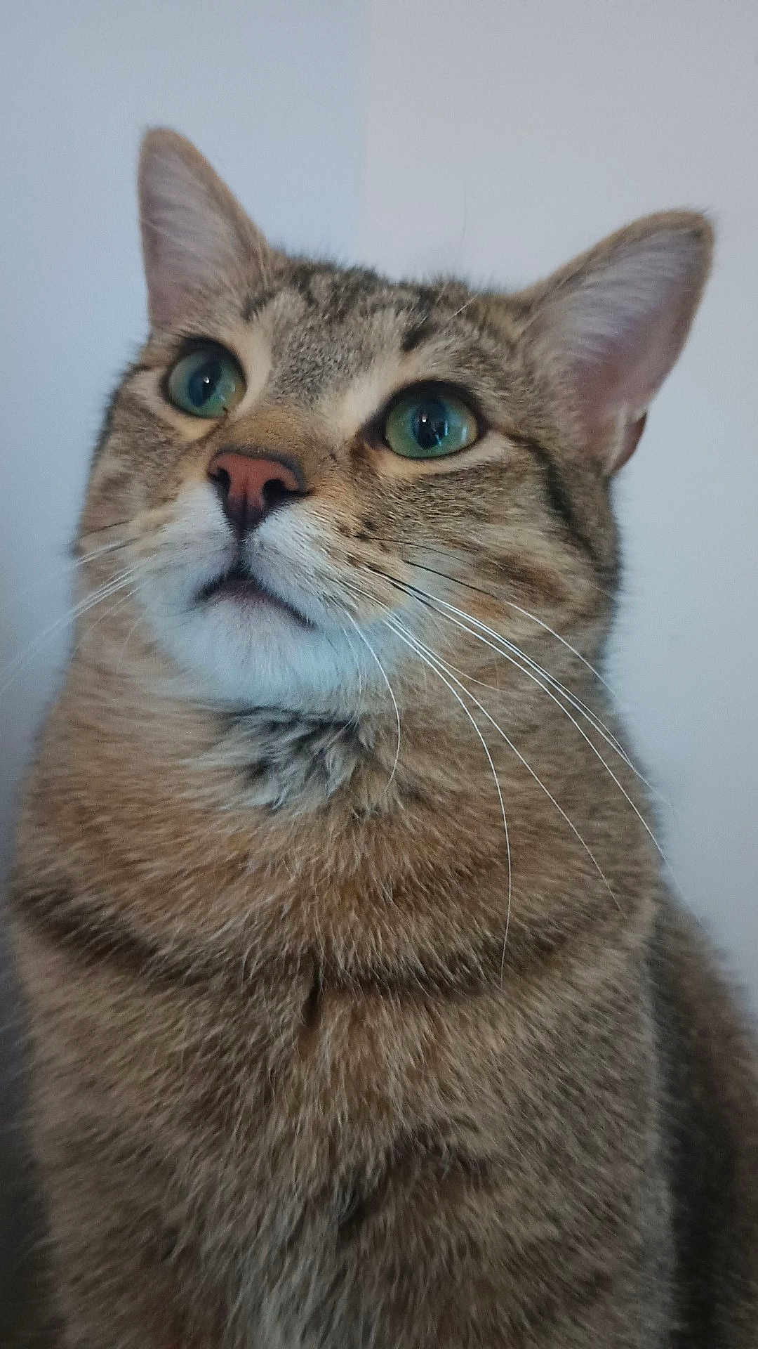 Oliver