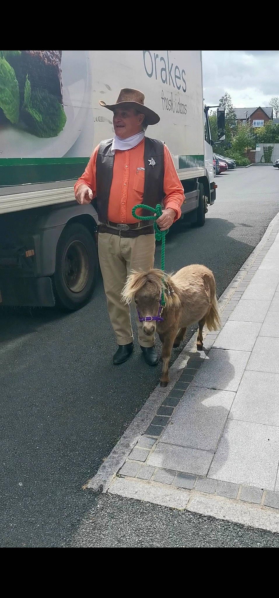 Cooper joined the competition — help win amazing prizes! canidae, dog, dog_breed, dog_walking, fashion_accessory, leash, road, sporting_group, vehicle