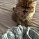 Pepurr