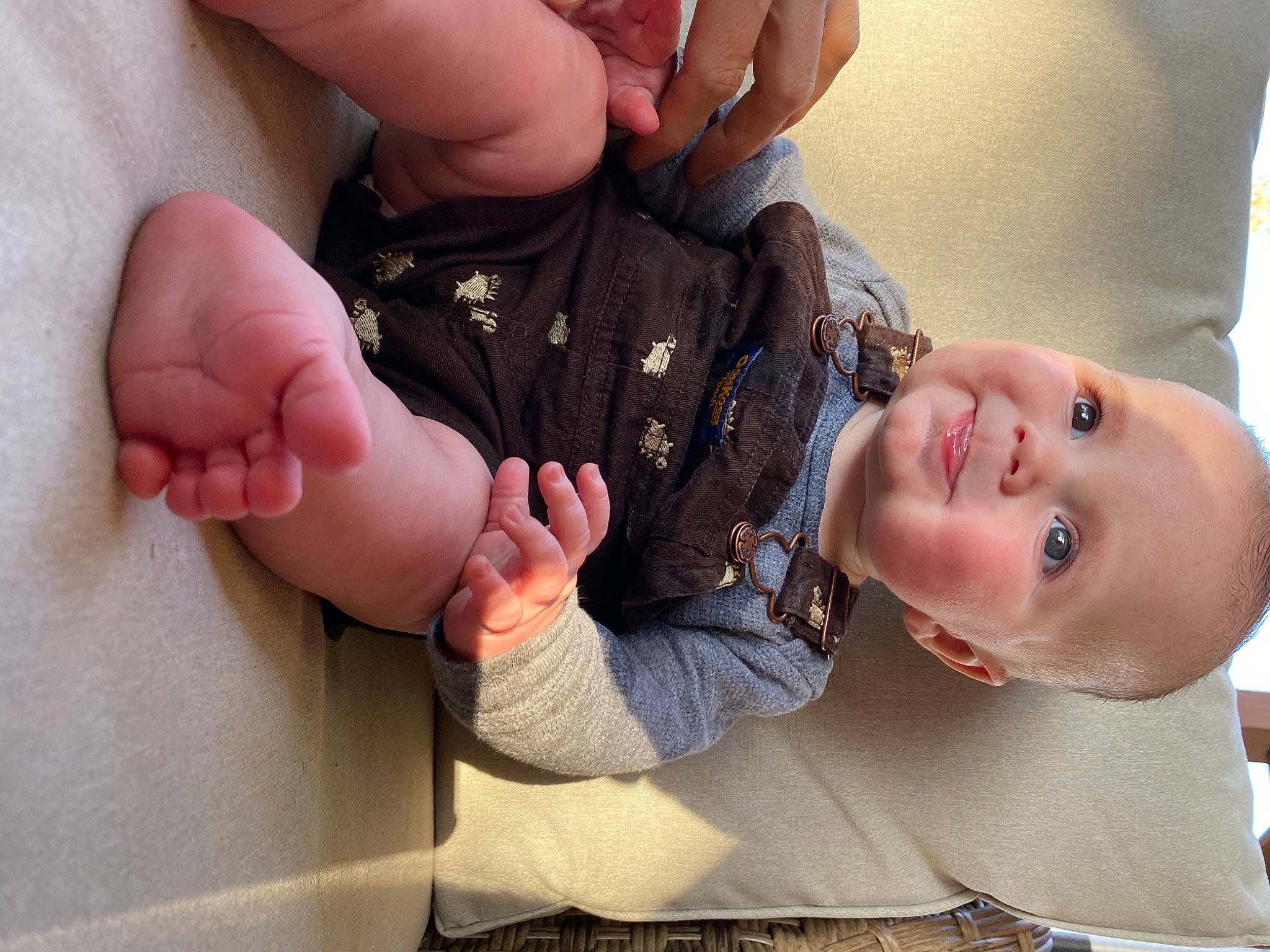 Kaedon joined the competition — help win amazing prizes! baby, baby_toddler_clothing, cheek, child, eyelash, finger, foot, gesture, hand, happy, holding_hands, mouth, nail, person, sign_language, skin, sleeve, thumb, toddler, tree