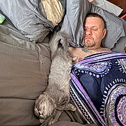 Rebel joined the competition — help win amazing prizes! bed, blanket, cat, comfort, cozy, facial_hair, fur, gray_cat, home, human, indoors, man, nap, patterned_blanket, pillow, relaxation, resting, sleeping, stretching, tattoo
