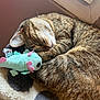 cat, sleeping, tabby, fur, plush_toy, blanket, polka_dot, cozy, indoor, pet, cute, resting, animal, soft, close_up, whiskers, relaxed, snuggling, toy, home