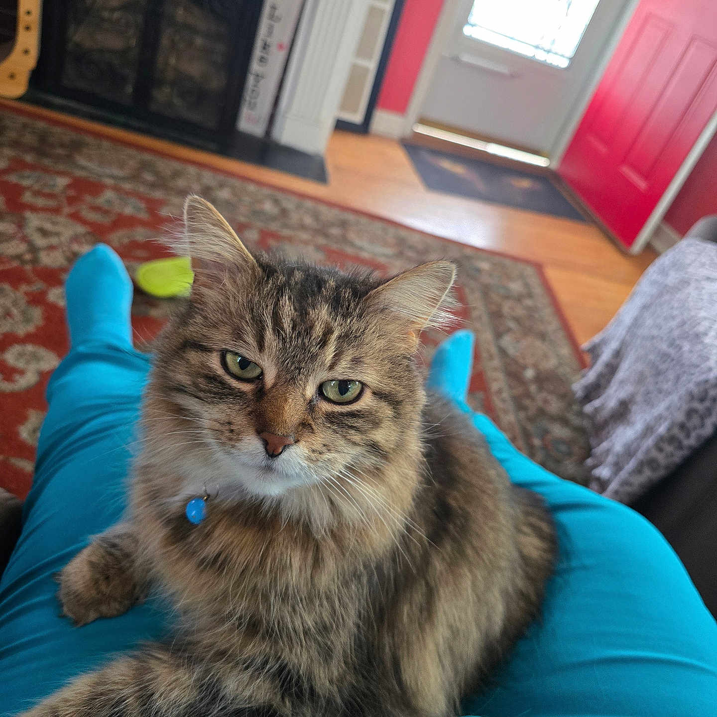 Nug