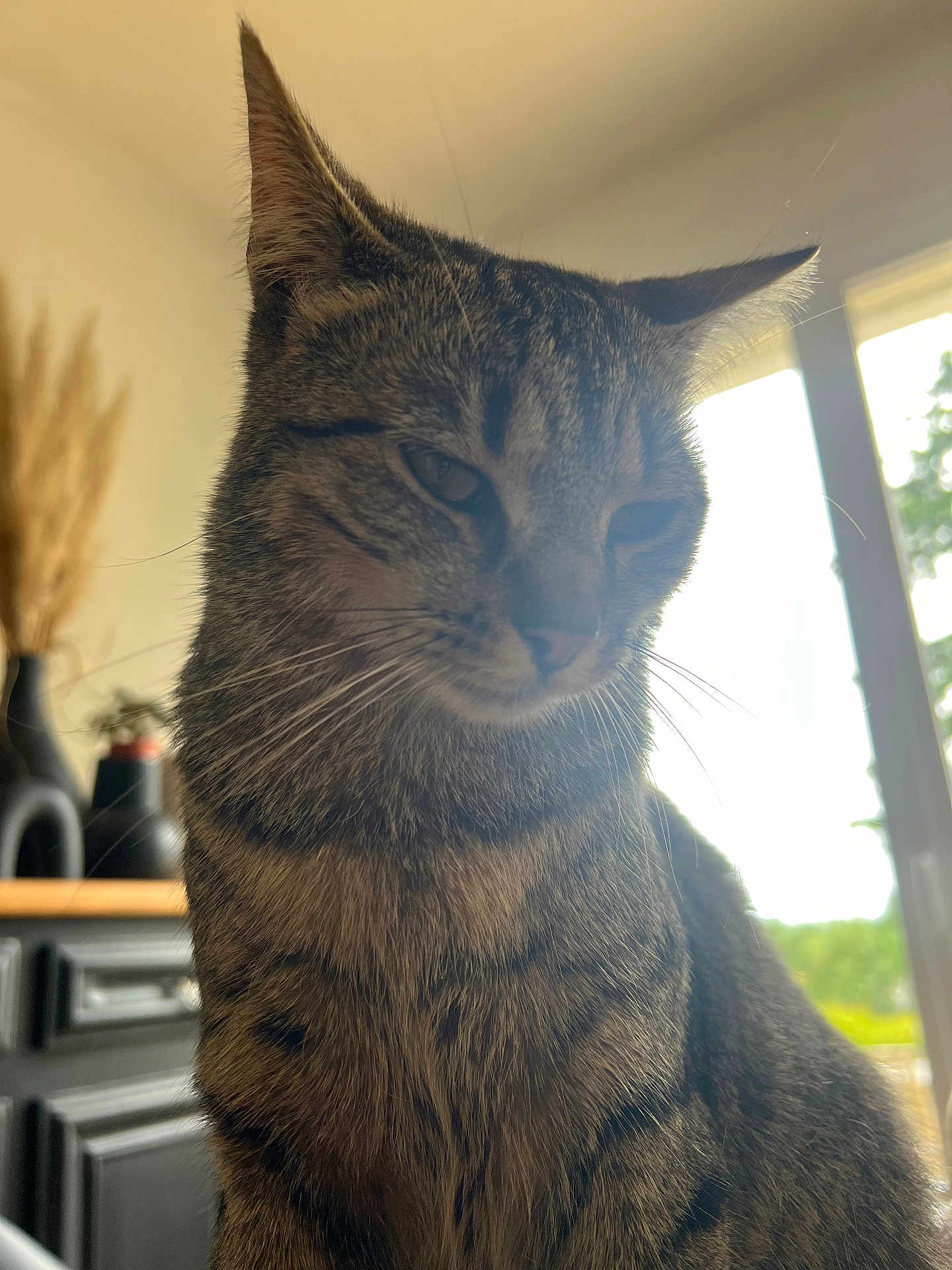 Suzanne