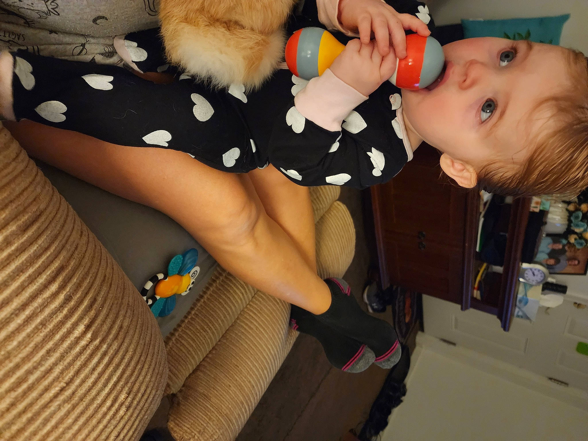 Olivia is registered to the contest to win money with this photo: baby, baby_products, child, comfort, companion_dog, felidae, finger, fun, fur, human_leg, joint, knee, nail, nose, person, stuffed_toy, surprise, textile, thigh, thumb