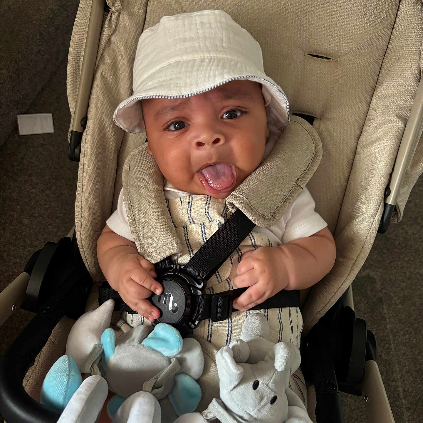 Lorenzo joined the competition — help win amazing prizes! baby, beige, bucket_hat, car_seat, child, cute, elephant_toy, expression, face, hand, indoors, infant, plush_toy, safety_harness, seat, smiling, soft_toys, striped_clothing, stroller, tongue_out