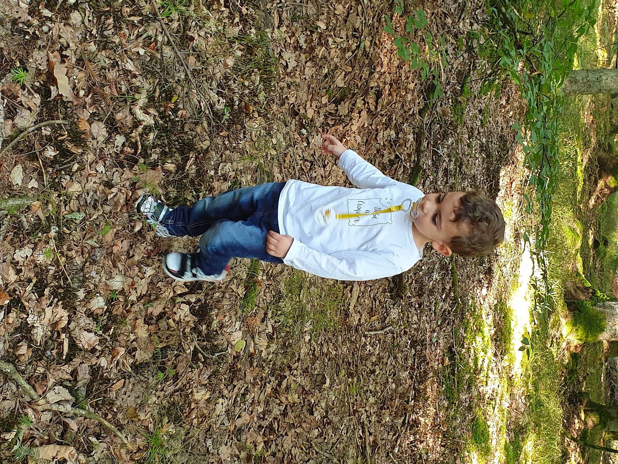 Arno a rejoint le concours — aidez-le/la à gagner de superbes lots ! person, plant, tree