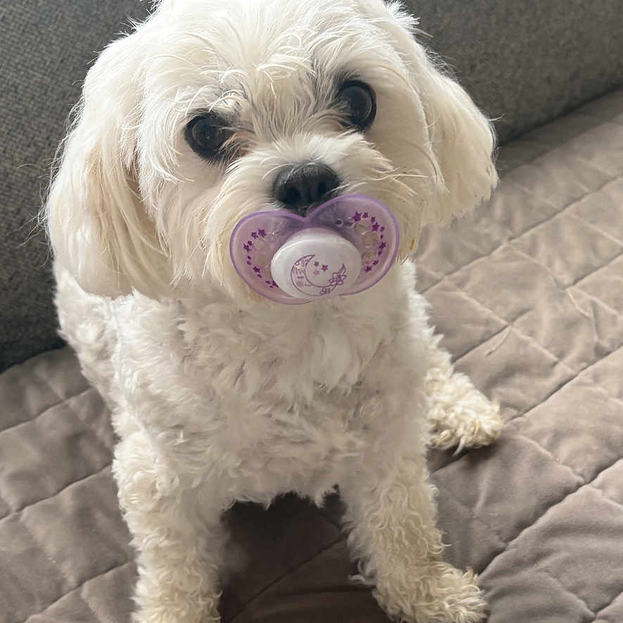 Matti