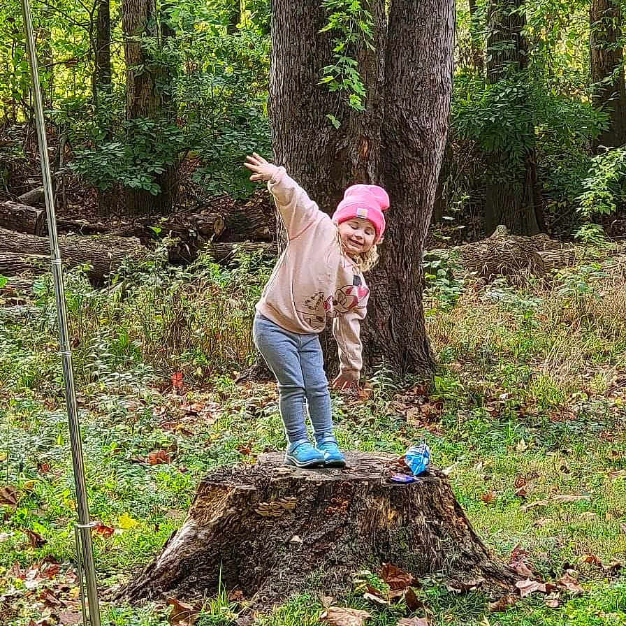 Brooklynn joined the competition — help win amazing prizes! branch, deciduous, forest, grass, groundcover, grove, jeans, jungle, natural_landscape, people_in_nature, plant, recreation, soil, temperate_broadleaf_and_mixed_forest, terrestrial_plant, toddler, tree, trunk, wood, woodland