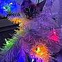 cat, kitten, christmas_tree, white_tree, christmas_lights, colorful_lights, holiday, pet, indoor, cozy, curious, fur, needles, branches, close_up, glowing, decorations, wires, carpet, tree_skirt