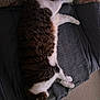 cat, sleeping, blanket, towel, floral_pattern, indoor, pet, cozy, fur, relaxing, paw, striped, tabby, white_fur, carpet, resting, animal, domestic_cat, quiet, home