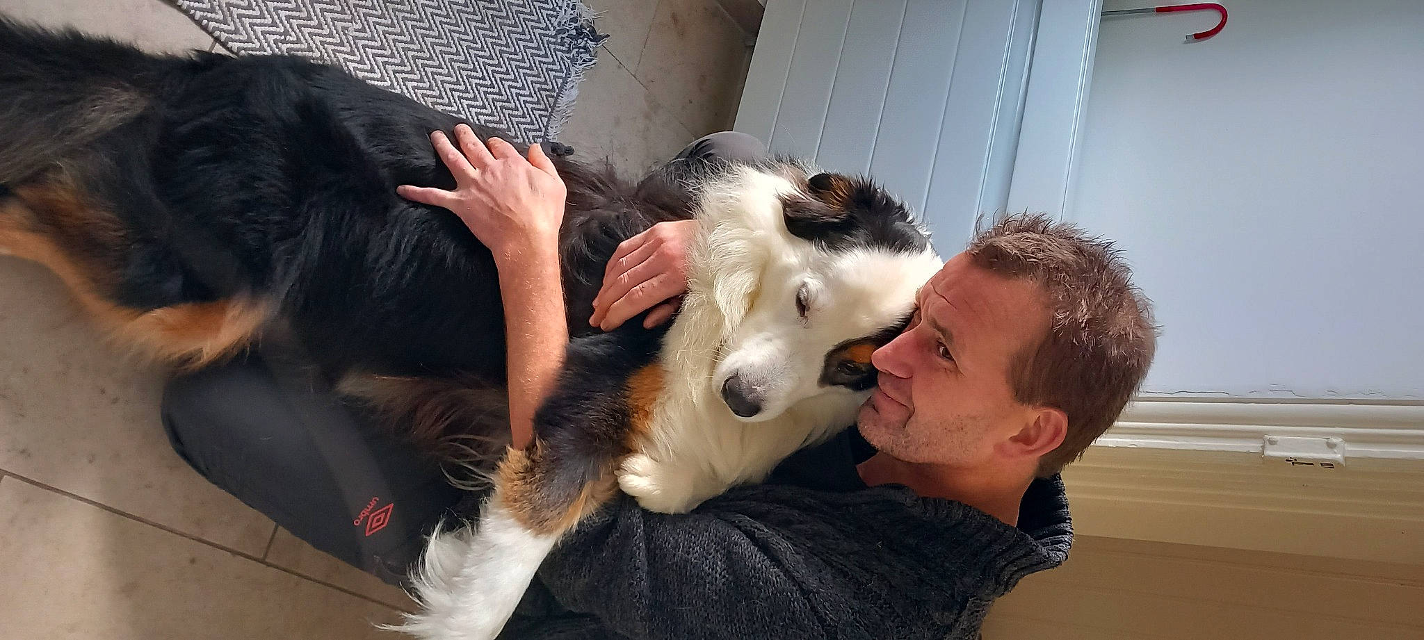 Roby participe au concours pour gagner de l'argent avec cette photo : canidae, carnivore, companion_dog, dog, dog_breed, ear, eyelash, fun, fur, happy, jaw, opossum, sharing, snout, terrestrial_animal, working_animal