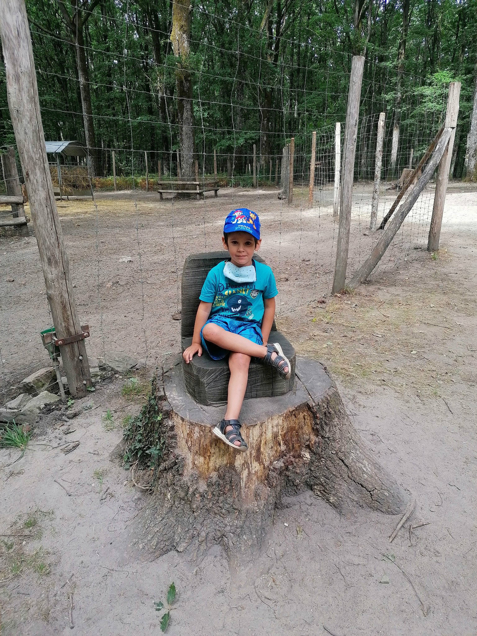 Liam a rejoint le concours — aidez-le/la à gagner de superbes lots ! fence, fun, grass, hat, headwear, jungle, leg, leisure, person, plant, play, recreation, sand, shorts, sitting, smile, soil, t_shirt, toddler, tree