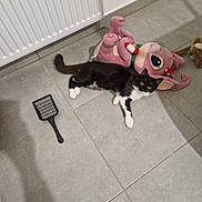 Chouchou participe au concours pour gagner de l'argent avec cette photo : cat, black_and_white_cat, plush_toy, pink_toy, floor_tiles, litter_scoop, indoor, radiator, wall, pet, animal, curious, looking, lying_down, domestic_cat, shadow, tile_floor, toy, pet_accessory, home_interior