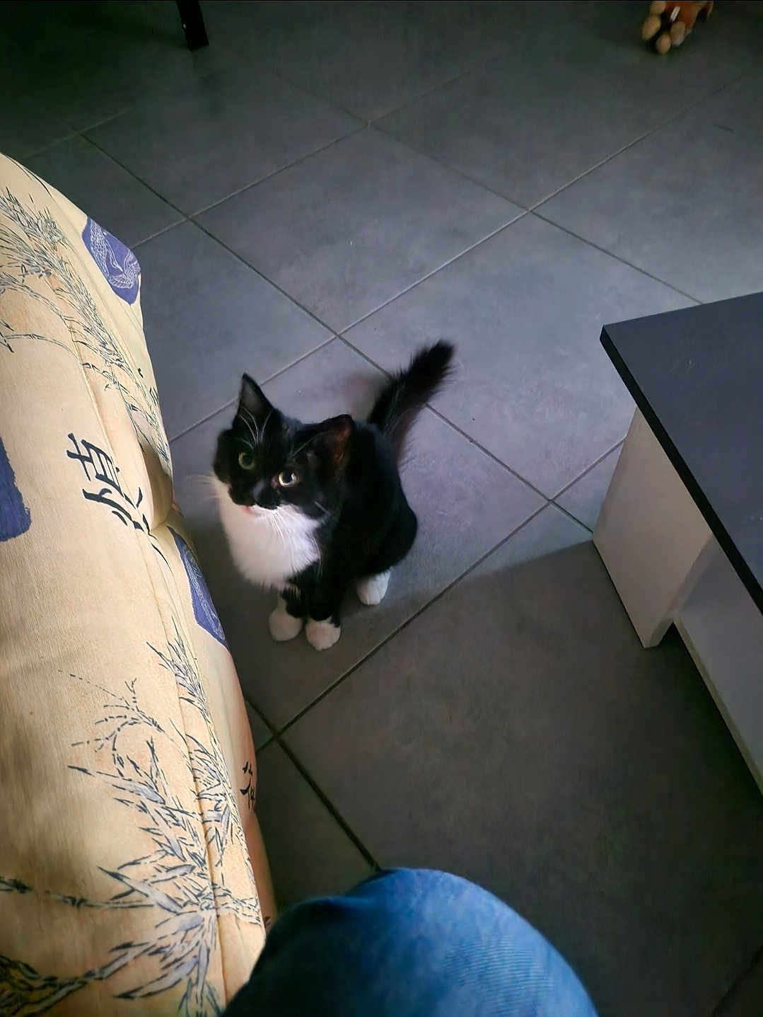Chouchou
