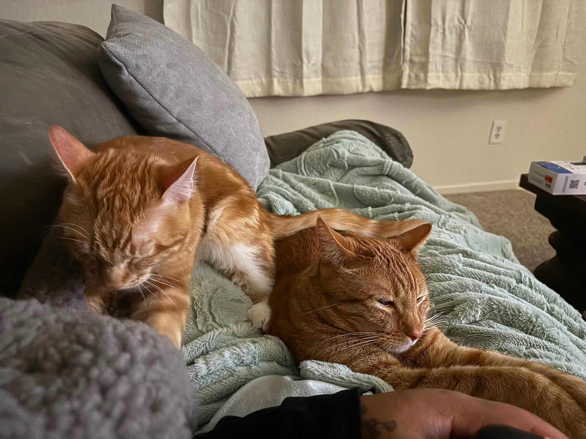 Loki And Freyja