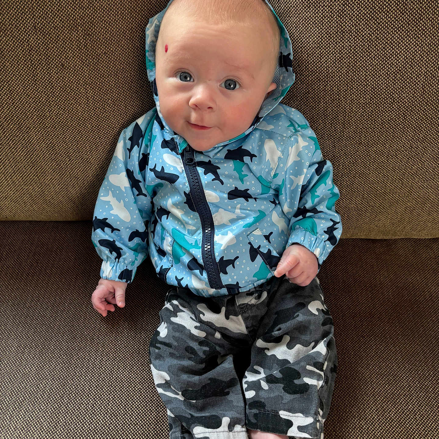 Lucky is registered to the contest to win money with this photo: baby, barefoot, blue_eyes, camo_pants, casual, child, clothing, couch, cute, expression, fabric, hooded_jacket, indoor, infant, portrait, seated, shark_pattern, small_hands, texture, young