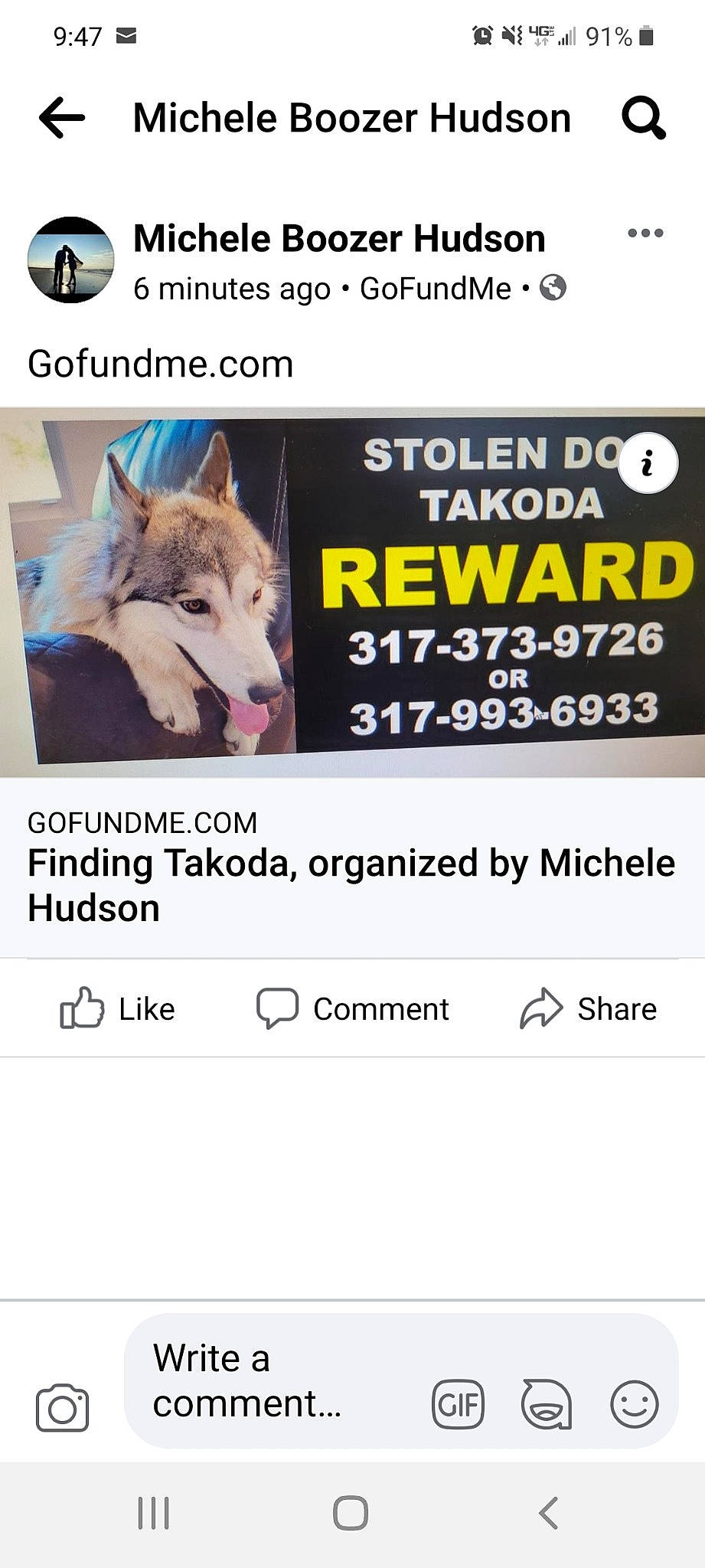 Takoda is registered to the contest to win money with this photo: brand, canidae, carnivore, companion_dog, dog_breed, font, fur, pack_animal, photo_caption, screenshot, snout, terrestrial_animal, wildlife, working_animal