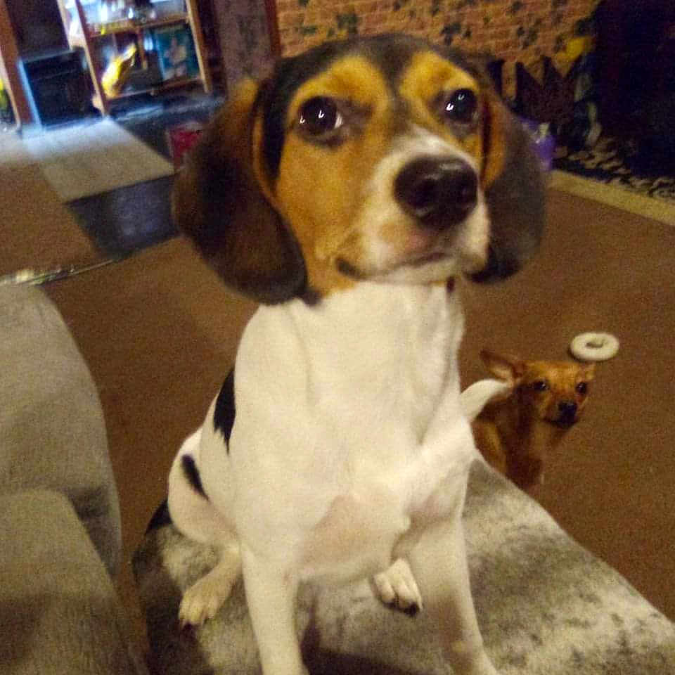 Molly Jo
