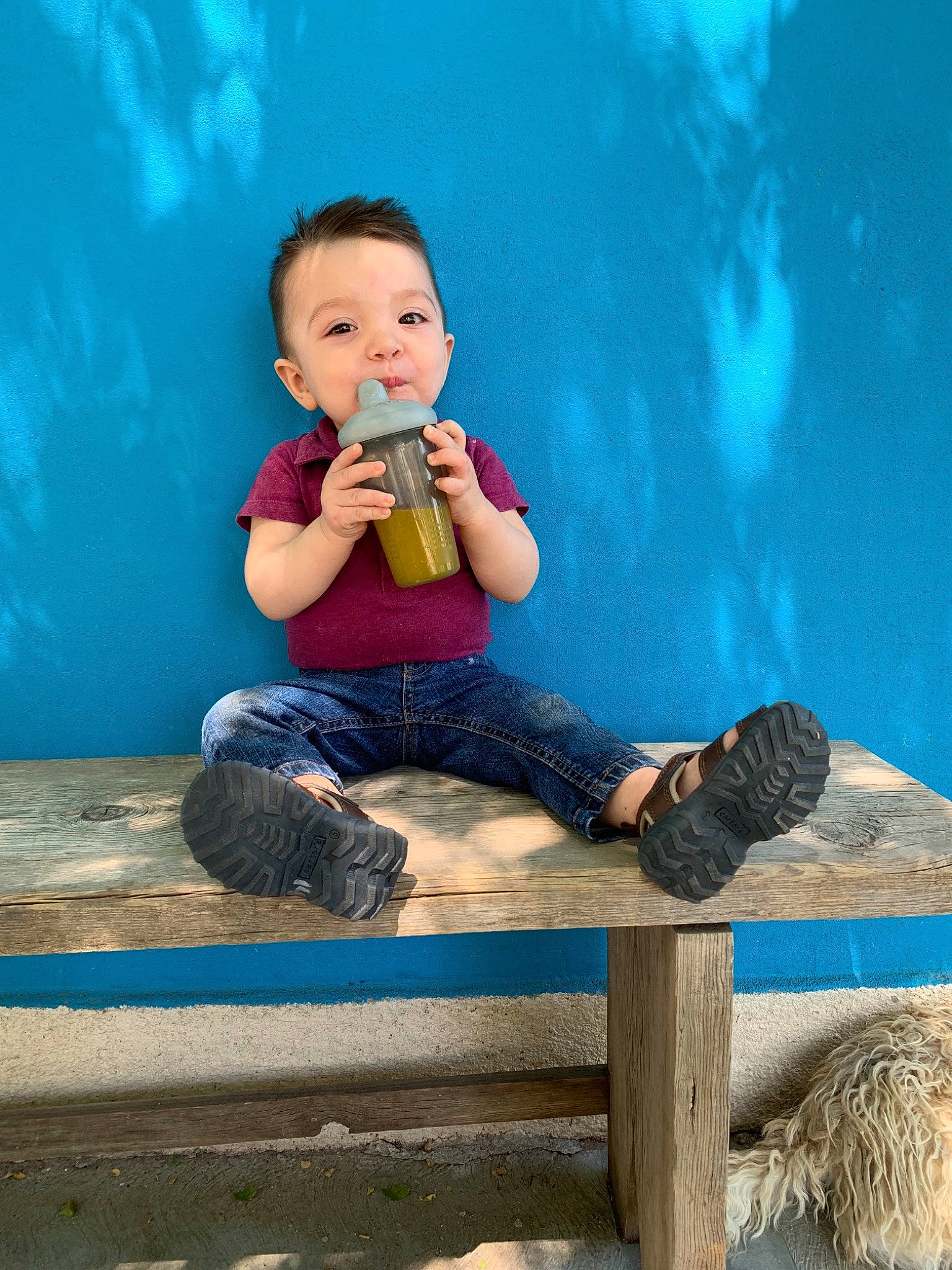 Luis is registered to the contest to win money with this photo: child, child_model, leisure, person, photography, sitting, toddler, tourism, vacation