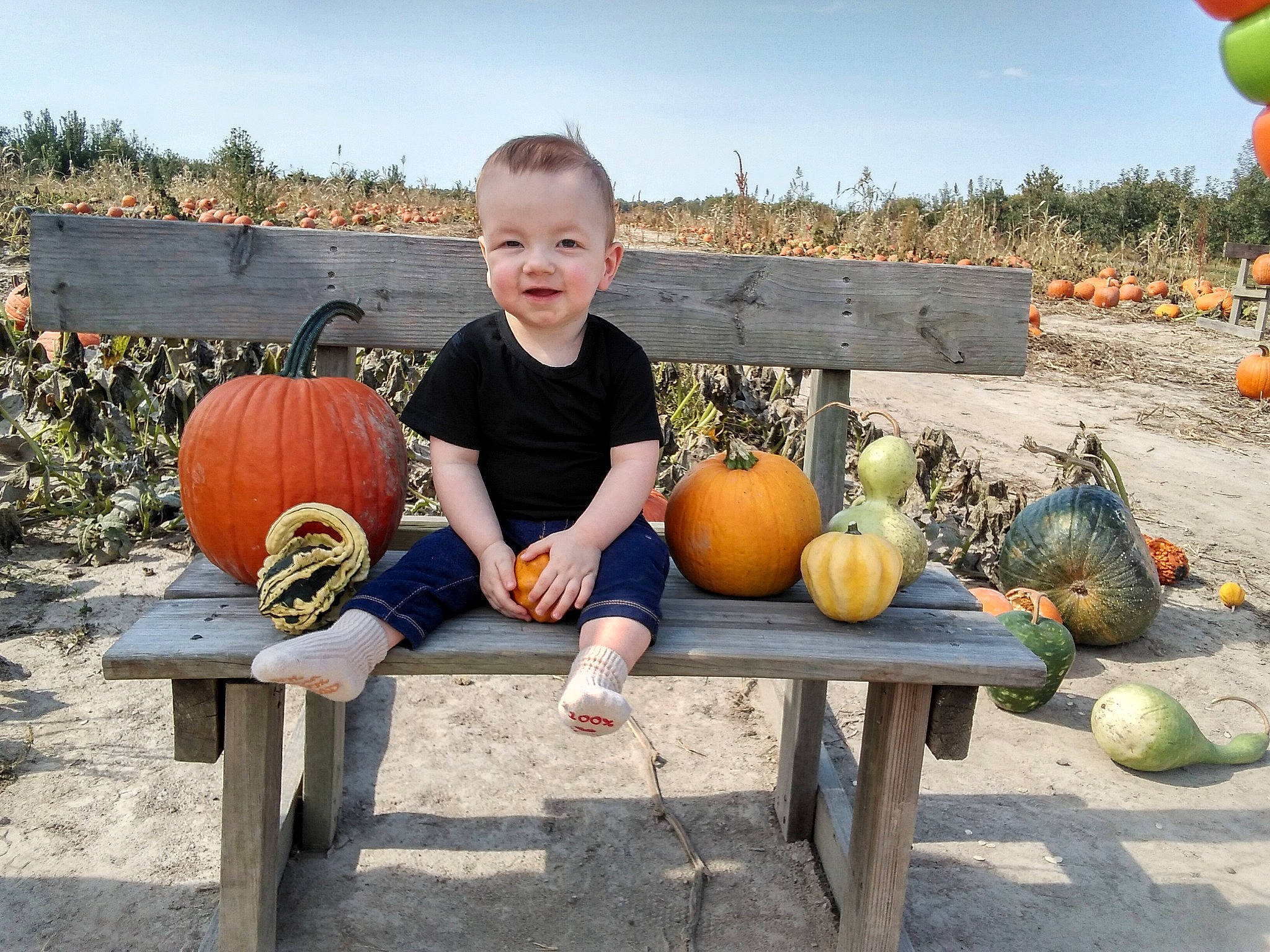 Jaxten is registered to the contest to win money with this photo: _and_melon_family, _gourd, calabaza, child, cucumber, cucurbita, food, fruit, gourd, joy, person, plant, pumpkin, sitting, squash, toddler, vacation, vegetable, winter_squash