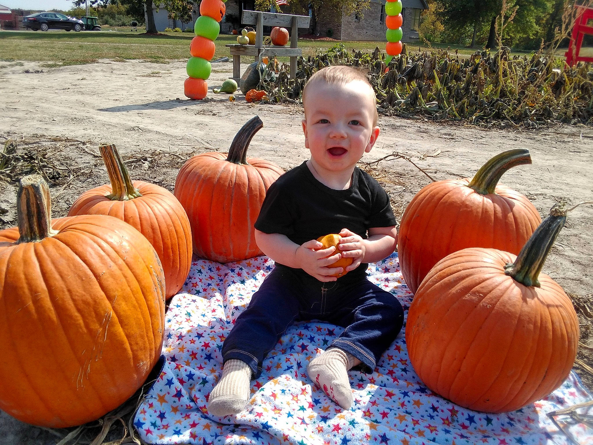 Jaxten joined the competition — help win amazing prizes! _and_melon_family, _gourd, calabaza, cucumber, cucurbita, food, fruit, gourd, local_food, person, plant, produce, pumpkin, squash, vegetable, winter_squash