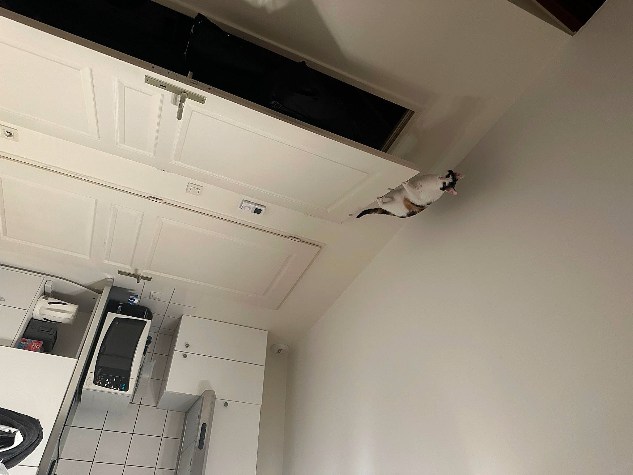 Tokyo participe au concours pour gagner de l'argent avec cette photo : aluminium, automotive_design, building, cabinetry, ceiling, ceiling_fixture, daylighting, fixture, floor, flooring, hardwood, house, kitchen, light_fixture, machine, major_appliance, molding, plaster, room, wood