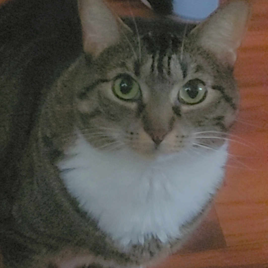 Peanut