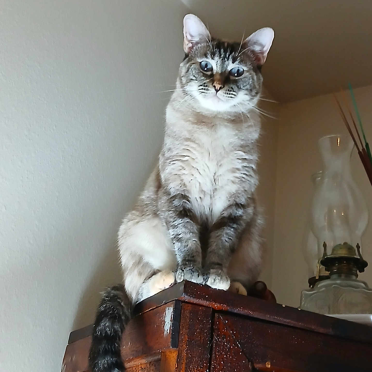 Luna
