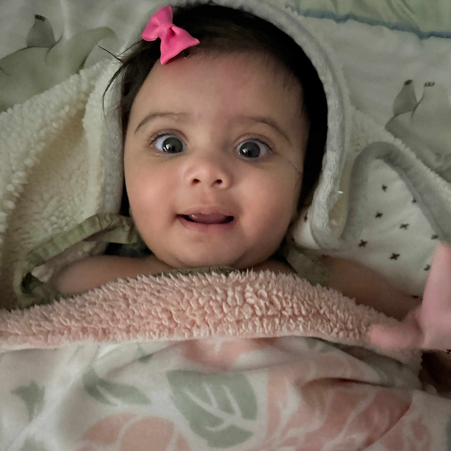 Radha is registered to the contest to win money with this photo: baby, blanket, child, cozy, cute, expression, face, hand, head, indoor, infant, person, pink_bow, portrait, skin, smiling, soft_texture, toddler, wide_eyes, wrapped
