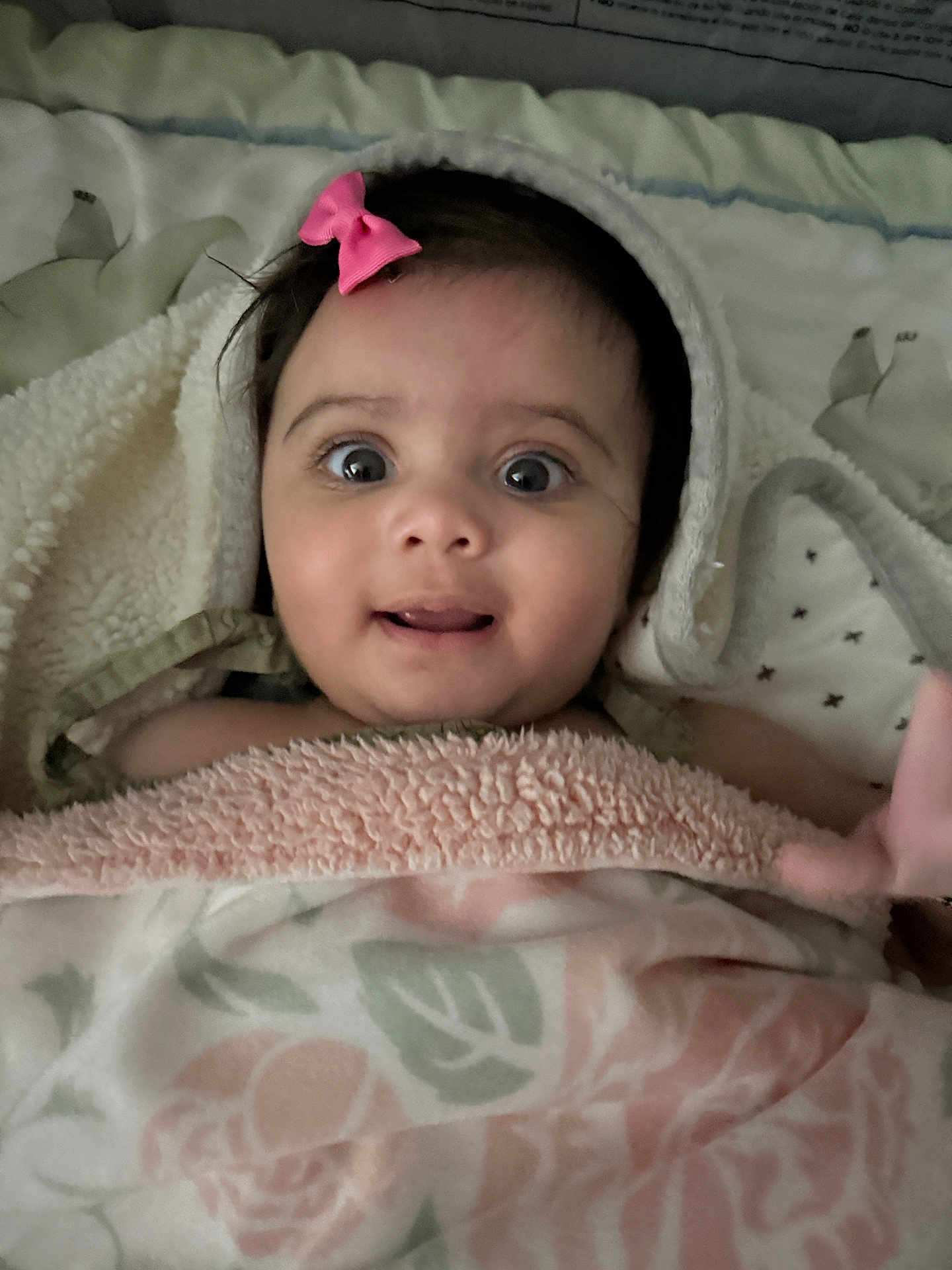 Radha is registered to the contest to win money with this photo: baby, child, blanket, pink_bow, wide_eyes, wrapped, cozy, cute, infant, portrait, indoor, soft_texture, smiling, expression, head, face, skin, hand, person, toddler