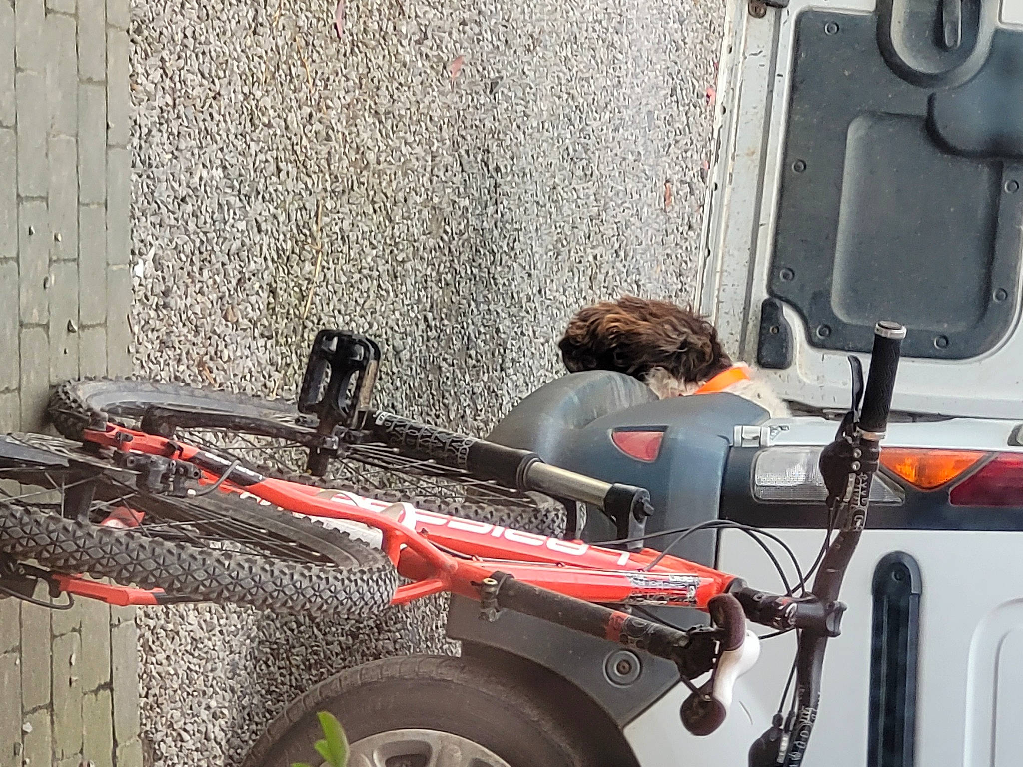 Hapache participe au concours pour gagner de l'argent avec cette photo : automotive_design, automotive_exterior, automotive_lighting, automotive_tire, automotive_wheel_system, bicycle_tire, bumper, car, fender, gas, hat, machine, mode_of_transport, motor_vehicle, rim, tire, tread, vehicle, vehicle_door, wheel