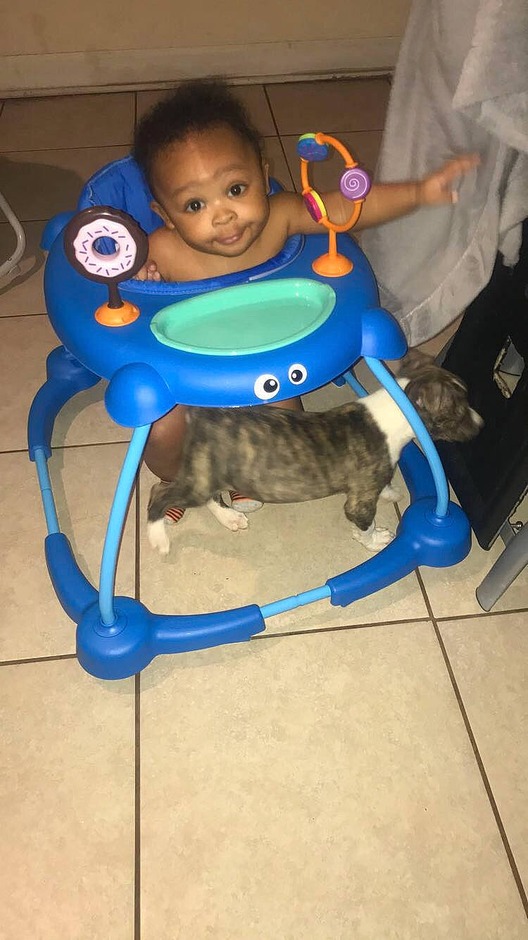 Ivan is registered to the contest to win money with this photo: baby_carriage, baby_products, blue, chair, child, electric_blue, fun, leisure, person, personal_protective_equipment, play, product, toddler, toy