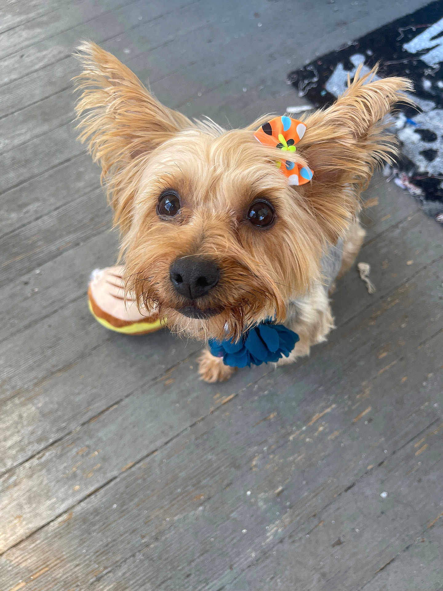 Betty Boo