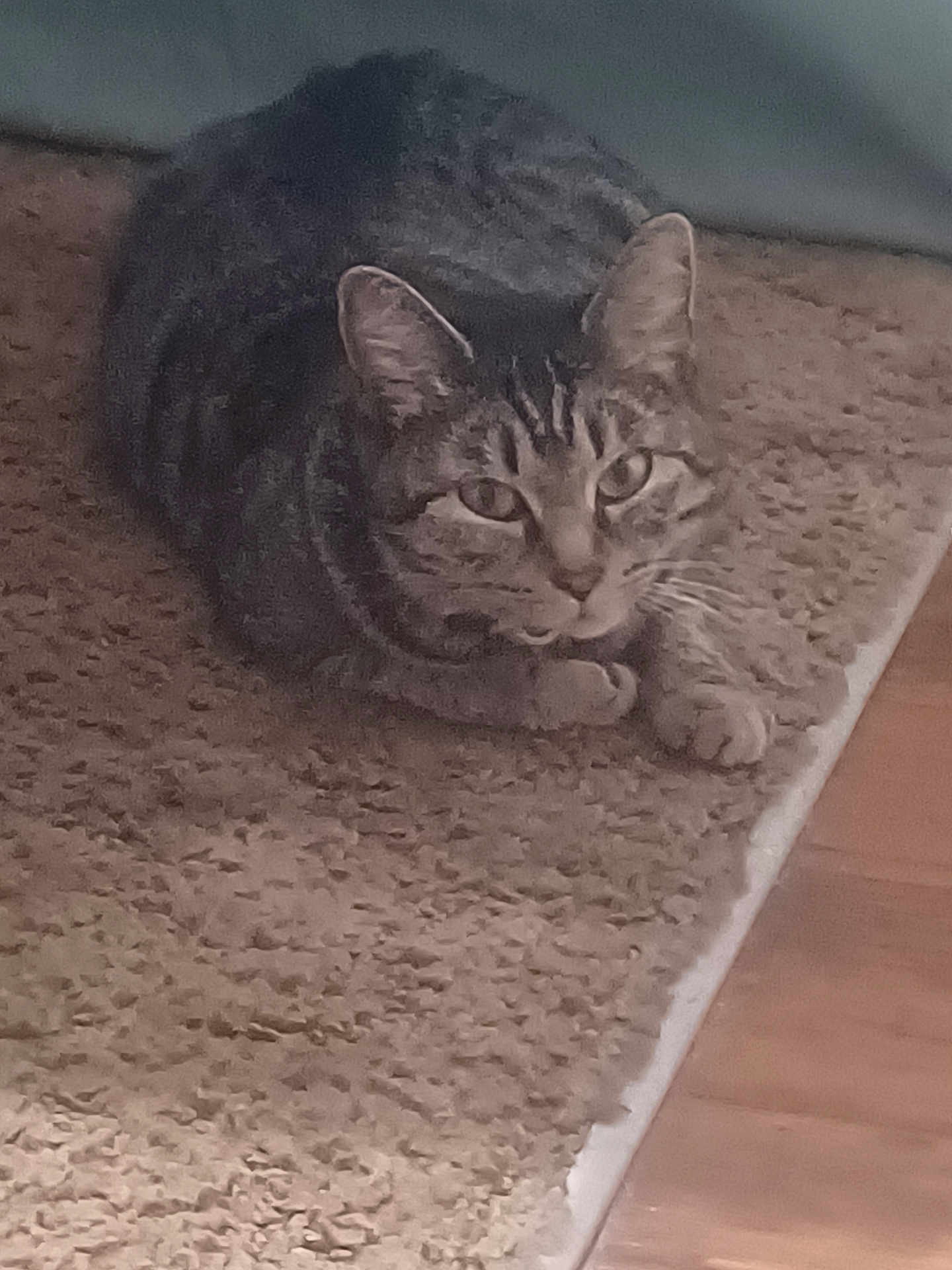 Chloe