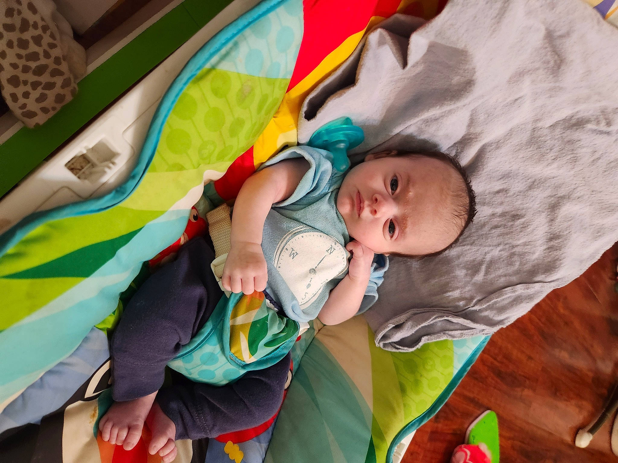 Mason is registered to the contest to win money with this photo: baby, baby_carriage, baby_products, child, comfort, fun, grass, green, infant_bed, leisure, linens, nap, person, play, product, recreation, room, sleep, toddler, tree