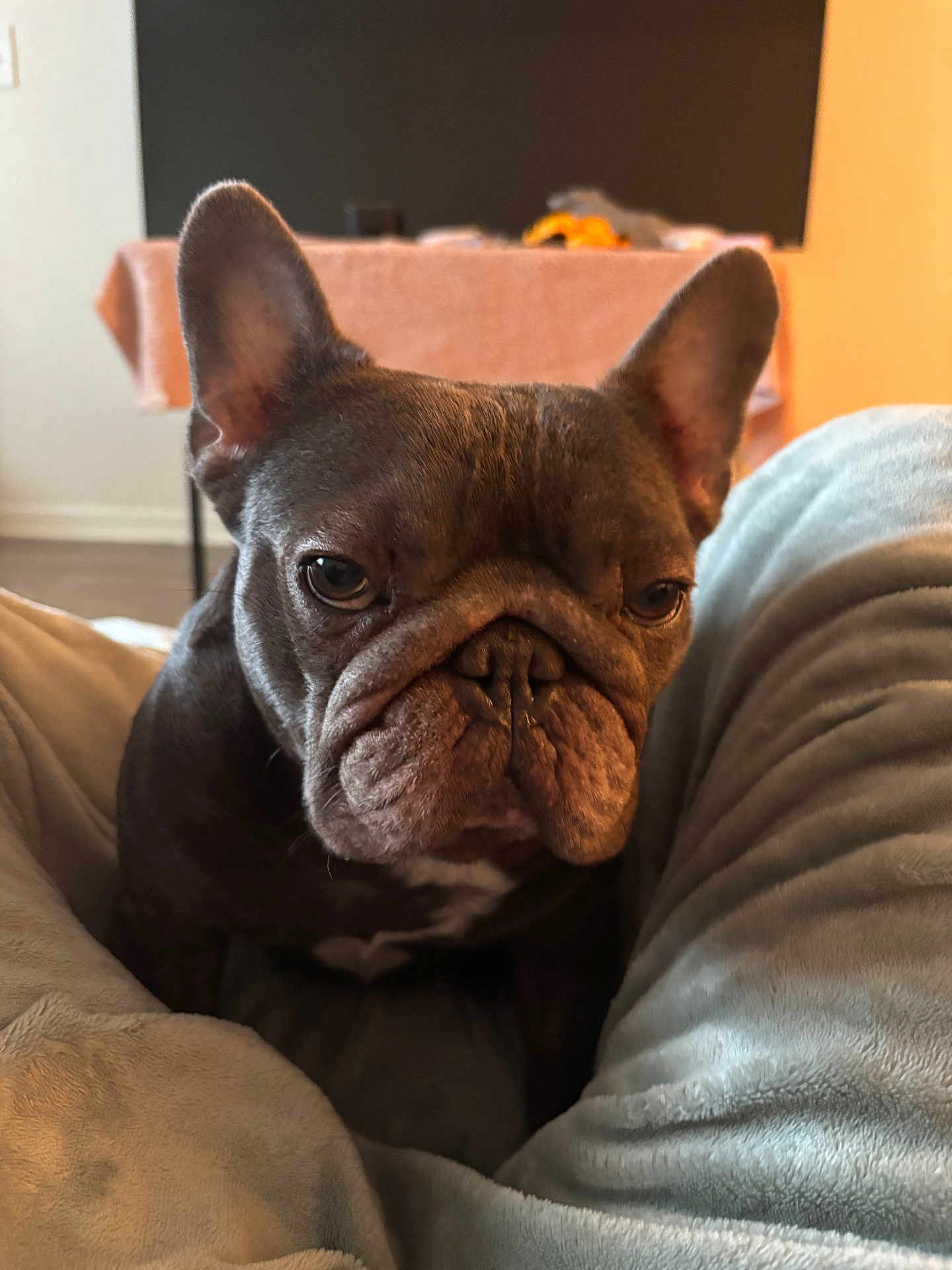 Diesel