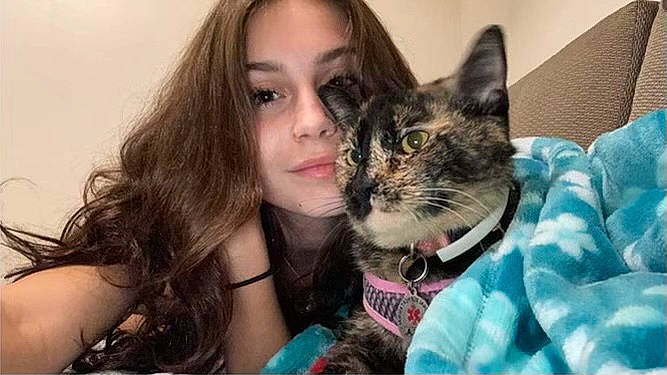 Maple is registered to the contest to win money with this photo: brown_hair, carnivore, cat, claw, comfort, domestic_short_haired_cat, ear, eyelash, fawn, felidae, fur, gesture, happy, iris, jewellery, long_hair, selfie, sitting, small_to_medium_sized_cats, whiskers